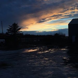 Meet your Posher, Liberty